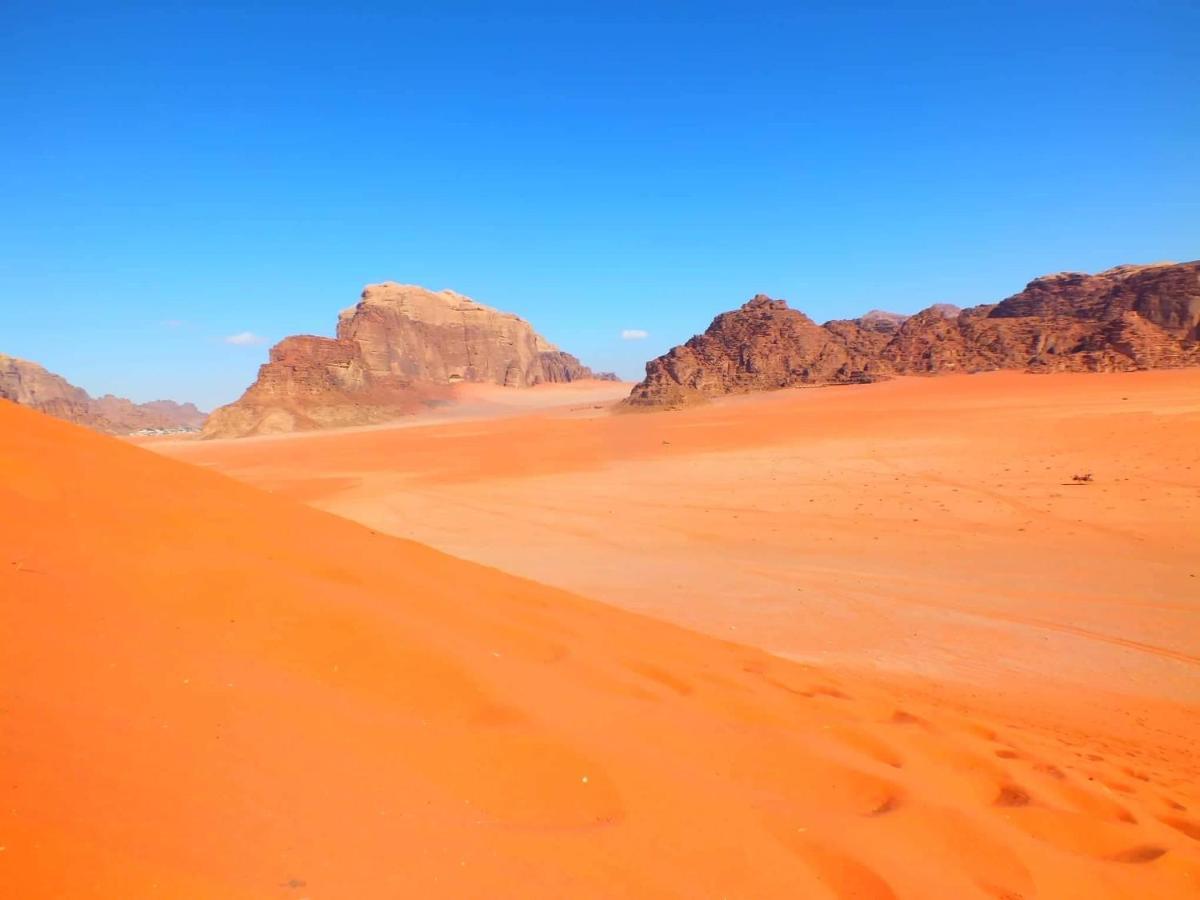 Wadirum Desert Tours Camp ワディ ・ラム エクステリア 写真