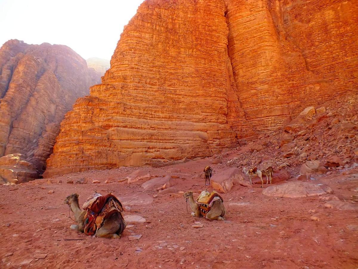 Wadirum Desert Tours Camp ワディ ・ラム エクステリア 写真