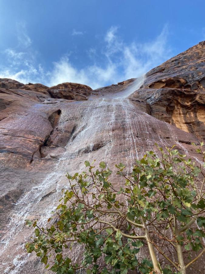 Wadirum Desert Tours Camp ワディ ・ラム エクステリア 写真