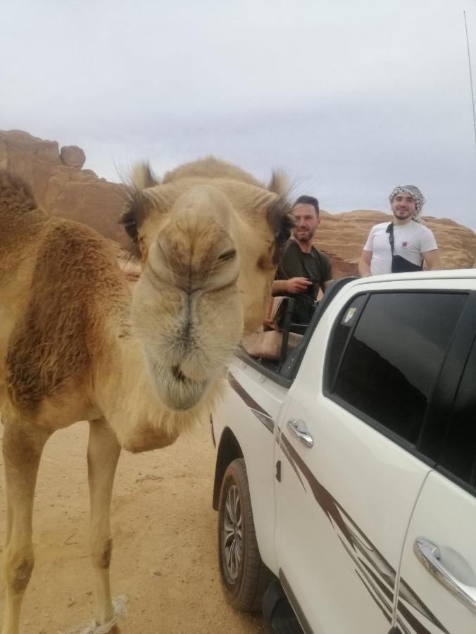 Wadirum Desert Tours Camp ワディ ・ラム エクステリア 写真