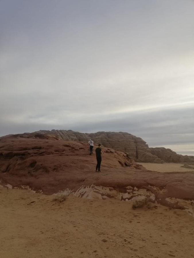 Wadirum Desert Tours Camp ワディ ・ラム エクステリア 写真