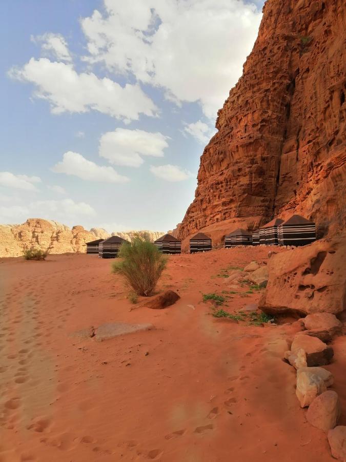 Wadirum Desert Tours Camp ワディ ・ラム エクステリア 写真