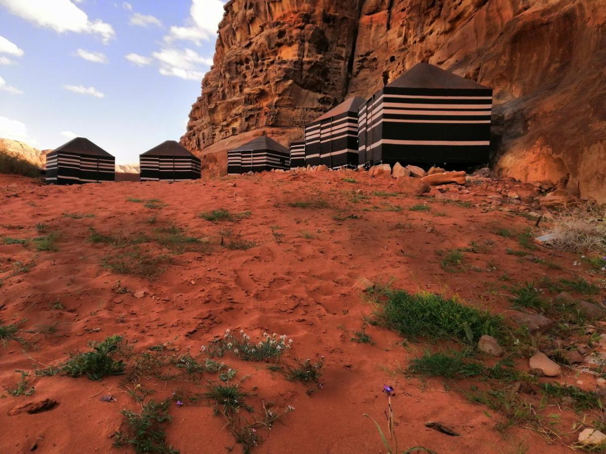 Wadirum Desert Tours Camp ワディ ・ラム エクステリア 写真